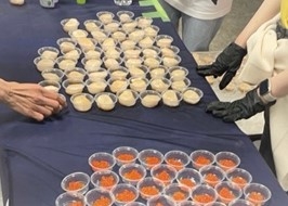 Japan Food Festival